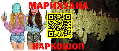шишки Балашиха