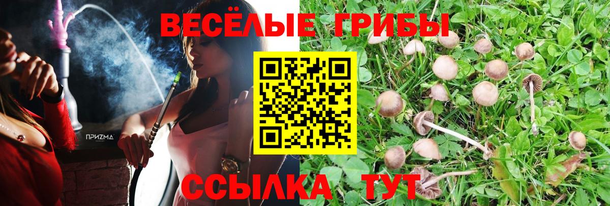 Галлюциногенные грибы Cubensis  Вход с VPN  Богородицк 